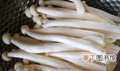 海鲜菇怎样做好吃 海鲜菇的做法
