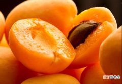 吃杏子对身体的好处 杏子的功效与作用及禁忌
