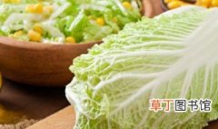 大青菜怎么腌制最好吃 大青菜怎么腌制又简单又好吃