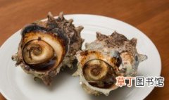 海螺怎么腌制最好吃，腌制海螺是生的还是熟的
