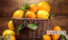种橘子的方法 种橘子的方法是什么