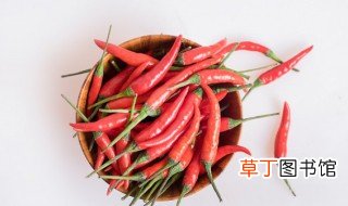 种辣椒的方法和步骤 怎么种植辣椒