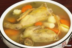 清炖乳鸽汤最简单的做法 乳鸽汤的做法与功效