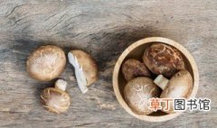 红烧香菇 家常菜红烧香菇
