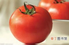 番茄豆浆组合 燃脂减肥吃着瘦