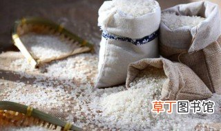 为什么明明密封很好的大米还会长出米虫 密封很好的大米还会长出米虫的原因