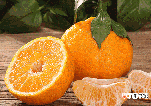 给大家详细介绍春见柑橘 老人叫的春见是什么水果