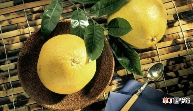推荐柚子的食用方法 柚子皮泡水喝有什么功效和作用