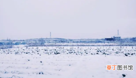 2023年1月上海会下雪吗_上海每年什么时候下雪