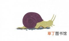 蜗牛冬眠的样子 蜗牛冬眠的样子是怎样