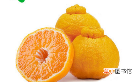 挑选丑橘3个小技巧 丑橘是几月份的水果