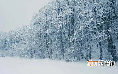 2023苏州过年还有雪吗_春节期间去苏州去哪玩好