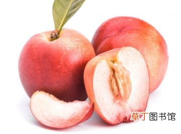 桃子的热量解析：最佳减肥水果