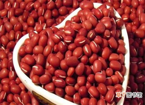 红豆与赤小豆的区别红豆的功效与作用