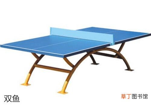 乒乓球台品牌有哪些六大乒乓球台品牌介绍