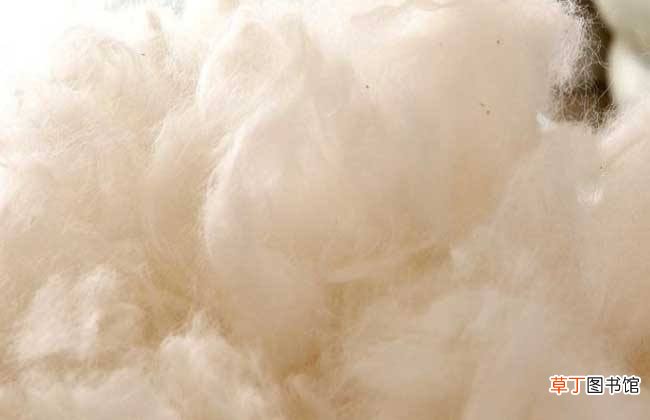 毛料有哪些种类之分 如何从毛料上辨别料质的好坏