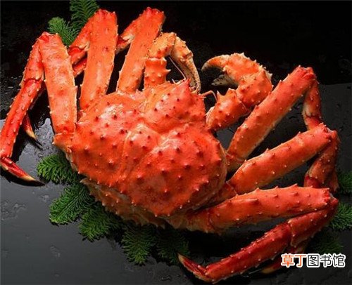 蟹爪肉怎么做好吃帝王蟹和长脚蟹的区别