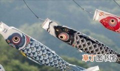 日本的鲤鱼旗有什么含义 日本的鲤鱼旗介绍