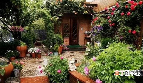 别墅花园小院布置方法
