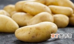 土豆丝面条怎么做好吃 制作土豆丝面条的方法