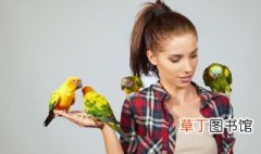 鸟的拼音 鸟的拼音是什么