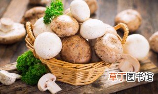 鲜口蘑怎么做好吃 口蘑怎么做简单又好吃