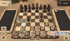 国际象棋规则 看这几条