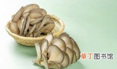 炒平菇的做法大全家常菜 炒平菇的烹饪方法