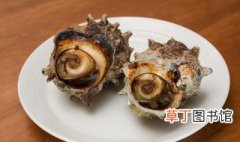 海螺带壳煮多长时间最好 带壳海螺煮多长时间最合适