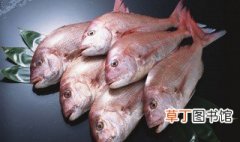 红鲷鱼怎么做好吃 红鲷鱼家常做法