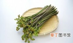 新鲜的厥菜怎么做好吃 蕨菜吃法介绍