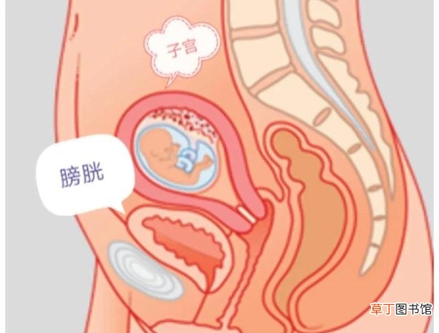 怀孕期间漏尿的原因 孕期漏尿是什么原因造成的