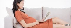 胎教适合听什么故事 孕妇讲给胎儿的故事