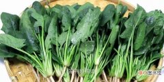 家用菠菜正确的长久保存方法 菠菜怎么保存新鲜不烂呢