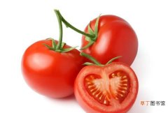 番茄既是蔬菜又是水果的原因 西红柿属于水果吗还是蔬菜