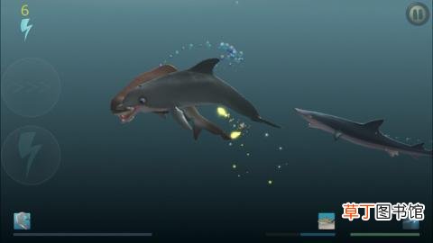 食人鲨最终bos详细攻略打法分享介绍一览