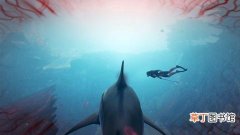 食人鲨游戏内容介绍以及详细评测介绍