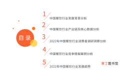 2022年中国市场调研分析报告 餐饮行业发展现状和前景分析