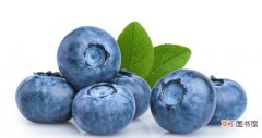 蓝莓保存最用实用的方法 蓝莓储存保鲜方法有哪些