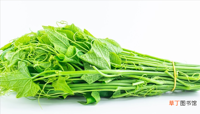 10种含有天然叶酸的蔬菜推荐 十大富含叶酸的食物排行榜