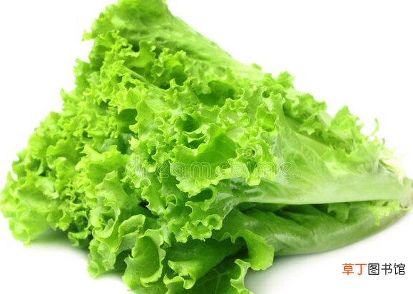 10种含有天然叶酸的蔬菜推荐 十大富含叶酸的食物排行榜