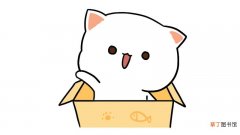 礼物盒里的小猫咪简笔画