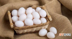 鸽子蛋的营养价值及功效,鸽子蛋哪些人不能吃