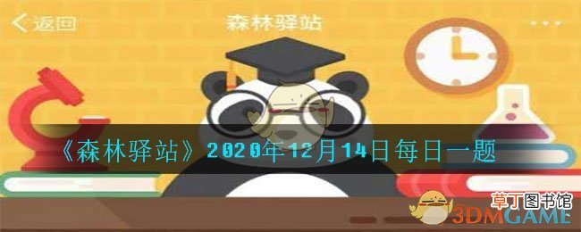 大熊猫的怀孕时间大概有多久_2020年12月14日每日一题