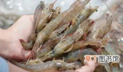 元宝虾煮多长时间 元宝虾煮多长时间才熟