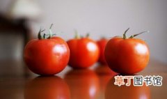 西红柿怎么选 如何挑选西红柿