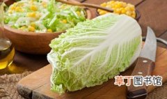 白菜种植技术 白菜怎么种