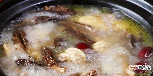 羊肚菌炖鸡汤的做法教程 新鲜羊肚菌的食用方法