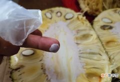 菠萝蜜的树胶清洗的三种方法 菠萝蜜的汁液粘在手上怎么去除