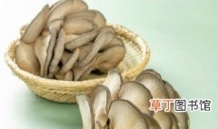 平菇炒青菜的家常做法 平菇炒青菜怎么做